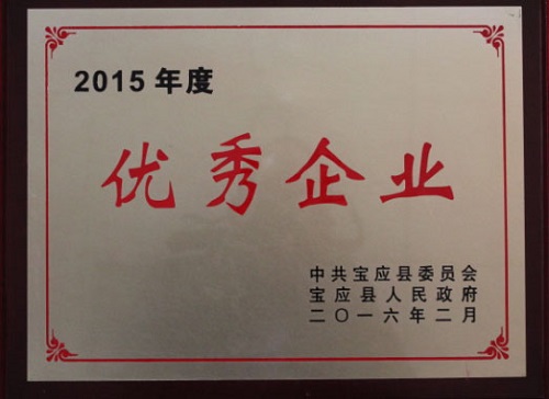 公司被寶應(yīng)縣人民政府授予2015年度“優(yōu)秀企業(yè)”榮譽(yù)稱(chēng)號(hào)