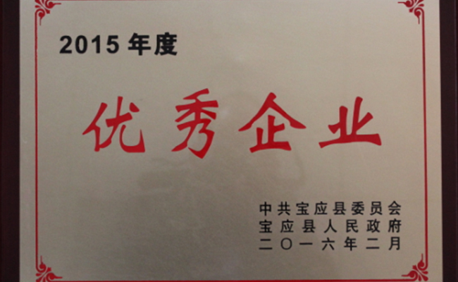 公司被寶應縣人民政府授予2015年度“優(yōu)秀企業(yè)”榮譽稱號